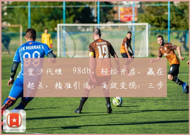 金沙代理訫98db，轻松开启，赢在起点，精准引流，高效变现，三步达成