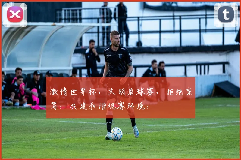 激情世界杯，文明看球赛，拒绝京骂，共建和谐观赛环境，