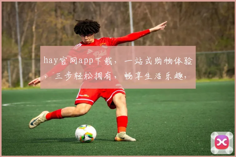 hay官网app下载，一站式购物体验，三步轻松拥有，畅享生活乐趣，不容错过