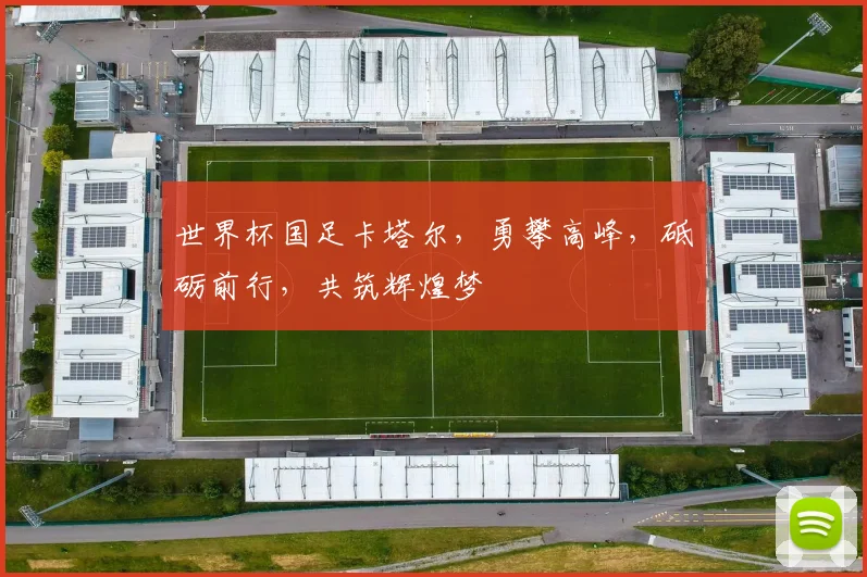 世界杯国足卡塔尔，勇攀高峰，砥砺前行，共筑辉煌梦